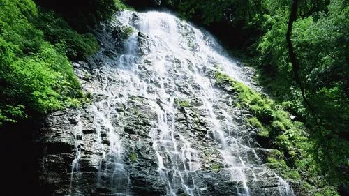 高端稳定性科技